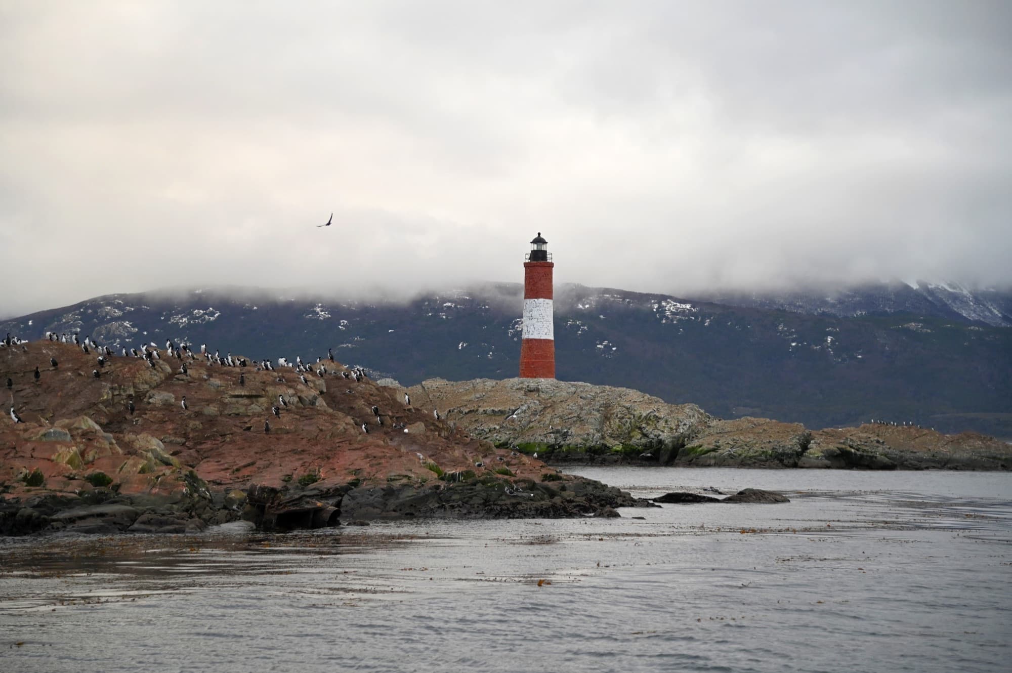 Foto: Martín Gunter Faro Les Éclaireurs con cormoranes en el canal Beagle